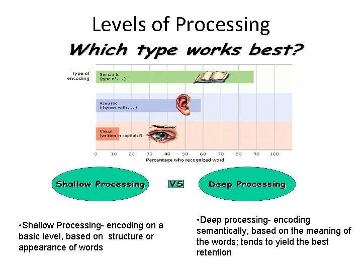 Levels of Processing • Shallow Processing- encoding on a basic level, based on structure
