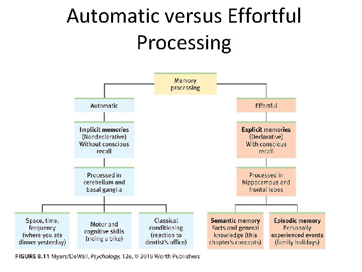 Automatic versus Effortful Processing 