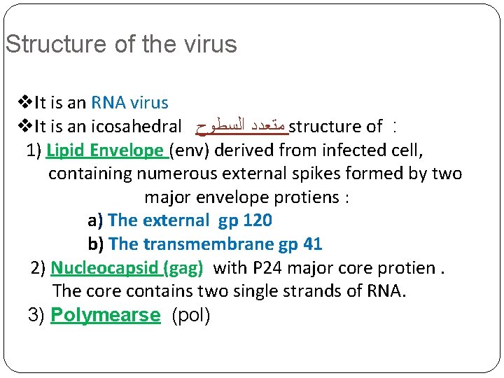 Structure of the virus It is an RNA virus It is an icosahedral ﻣﺘﻌﺪﺩ