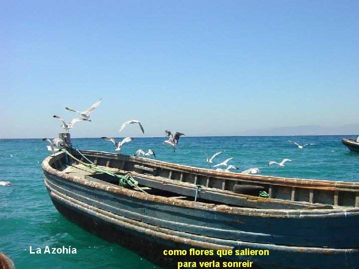 La Azohía como flores que salieron para verla sonreir 