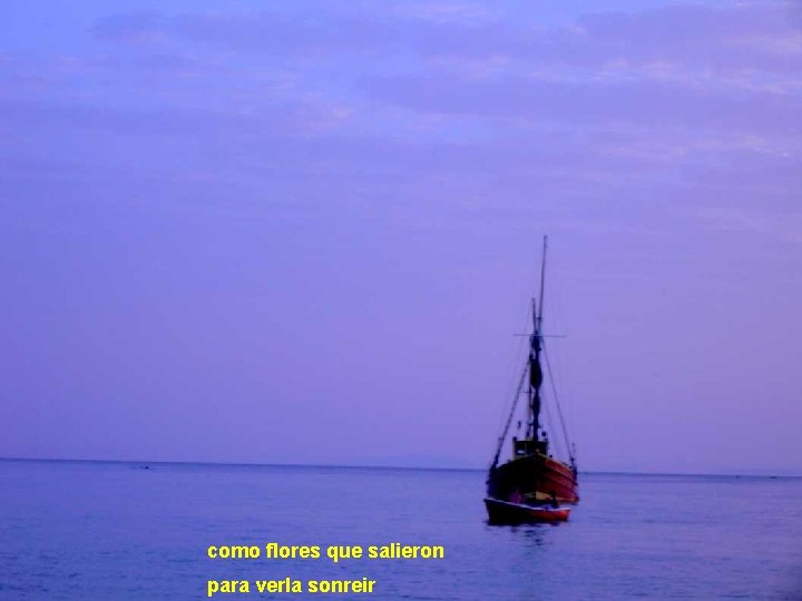 como flores que salieron para verla sonreir 