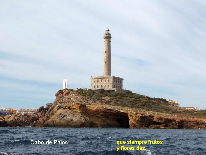 Cabo de Palos que siempre frutos y flores das. 