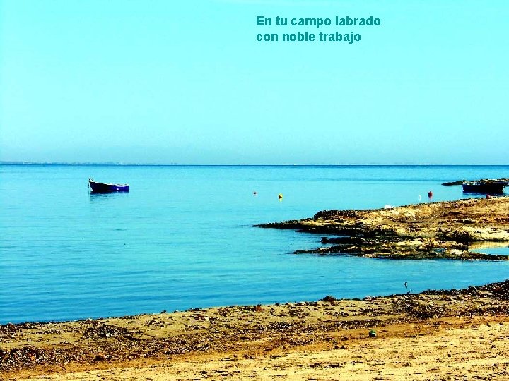En tu campo labrado con noble trabajo 