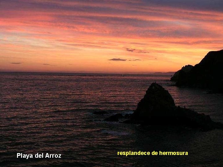 Playa del Arroz resplandece de hermosura 