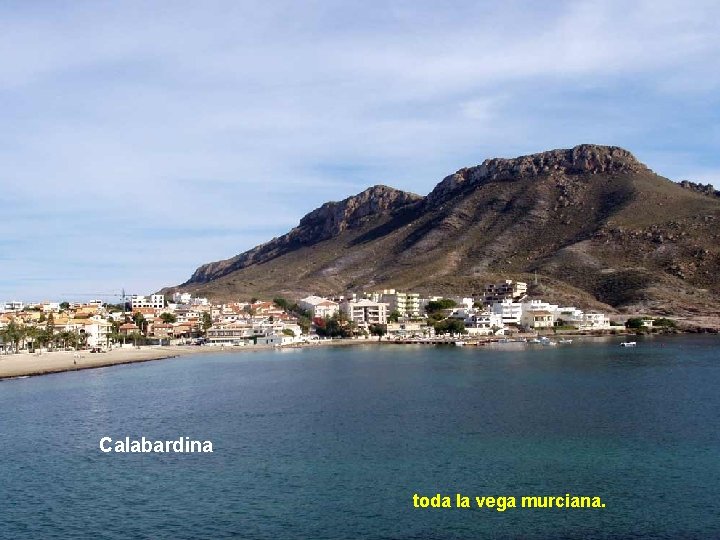 Calabardina toda la vega murciana. 