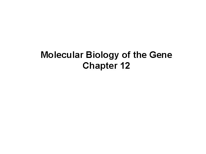 Molecular Biology of the Gene Chapter 12 