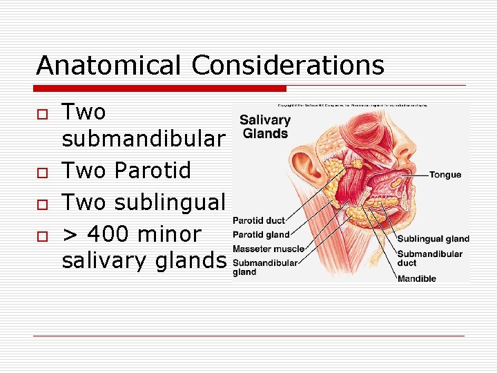 Anatomical Considerations o o Two submandibular Two Parotid Two sublingual > 400 minor salivary