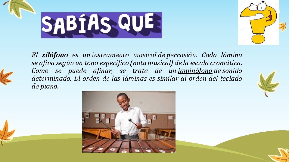 El xilófono es un instrumento musical de percusión. Cada lámina se afina según un