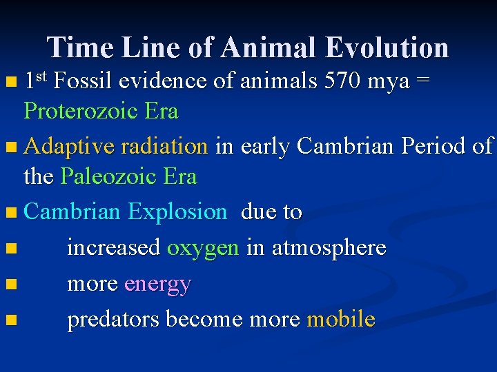 Time Line of Animal Evolution n 1 st Fossil evidence of animals 570 mya