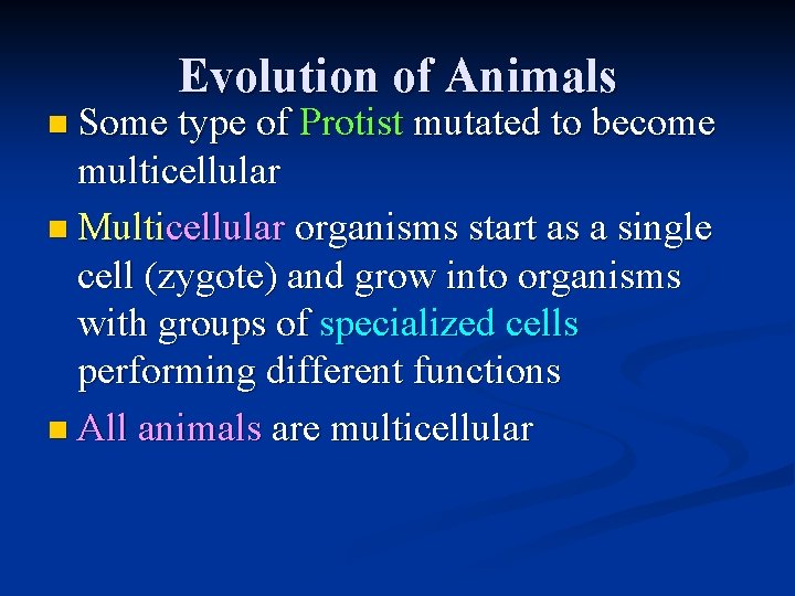 Evolution of Animals n Some type of Protist mutated to become multicellular n Multicellular