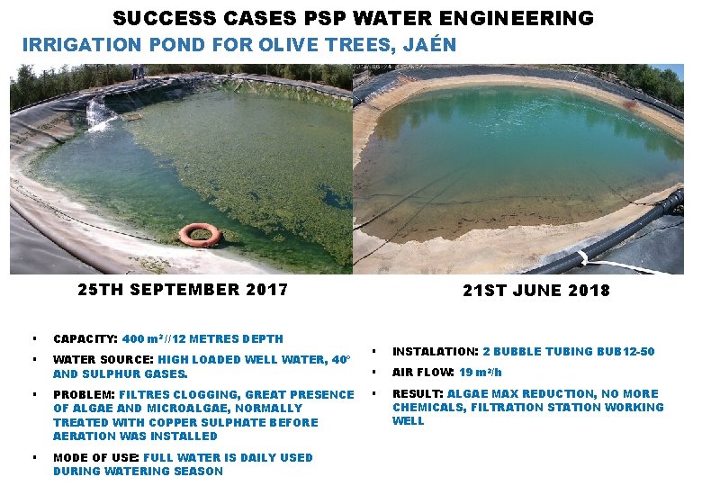 SUCCESS CASES PSP WATER ENGINEERING IRRIGATION POND FOR OLIVE TREES, JAÉN 25 TH SEPTEMBER