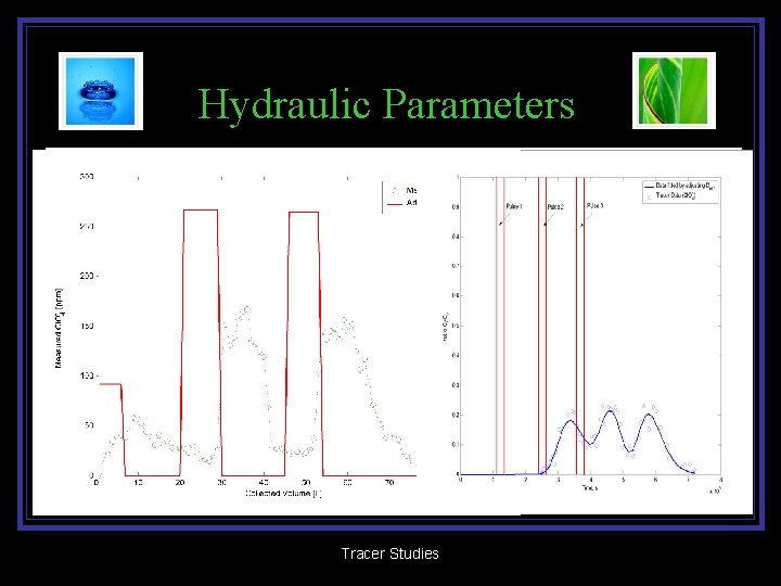 Hydraulic Parameters Tracer Studies 