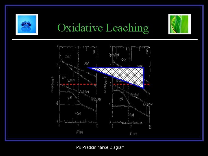 Oxidative Leaching Pu Predominance Diagram 