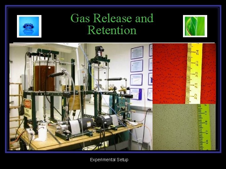 Gas Release and Retention Experimental Setup 