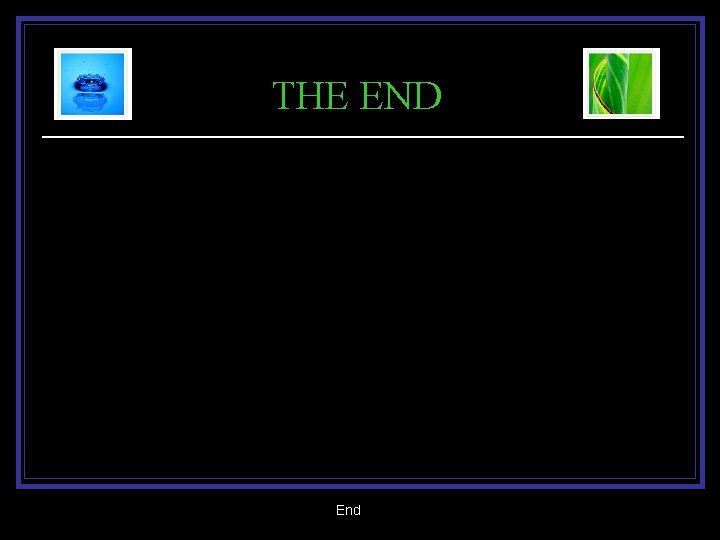 THE END End 