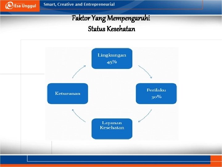 Faktor Yang Mempengaruhi Status Kesehatan 