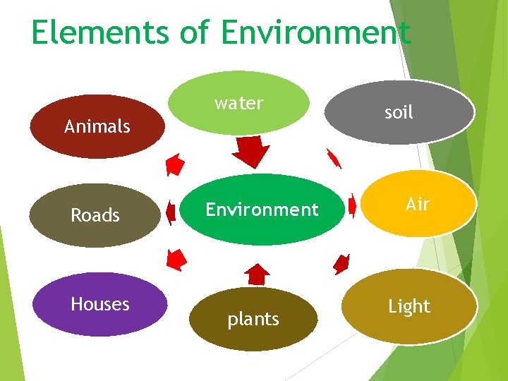 Elements of Environment water Animals Roads Houses Environment plants soil Air Light 