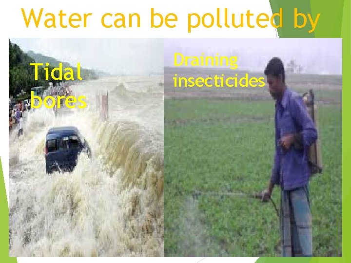 Water can be polluted by Tidal bores Draining insecticides 