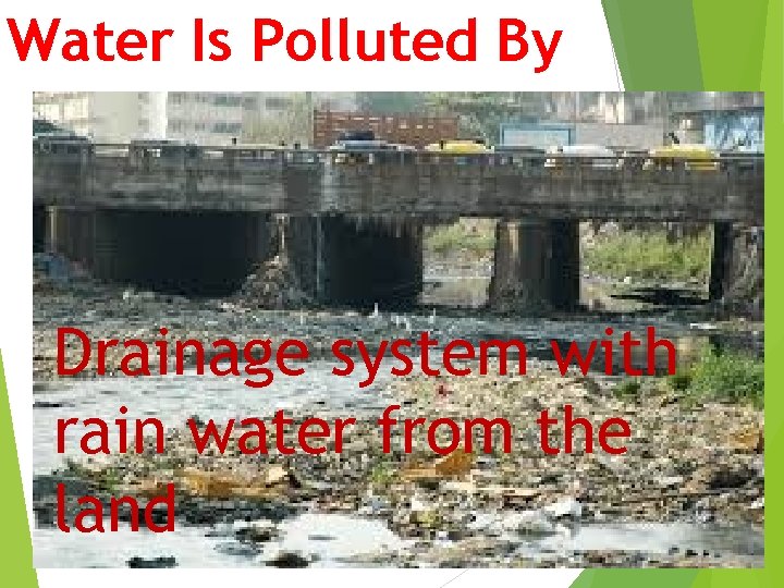 Water Is Polluted By Drainage system with rain water from the land 