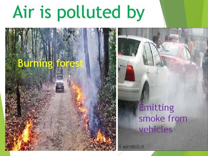Air is polluted by Burning forest Emitting smoke from vehicles 