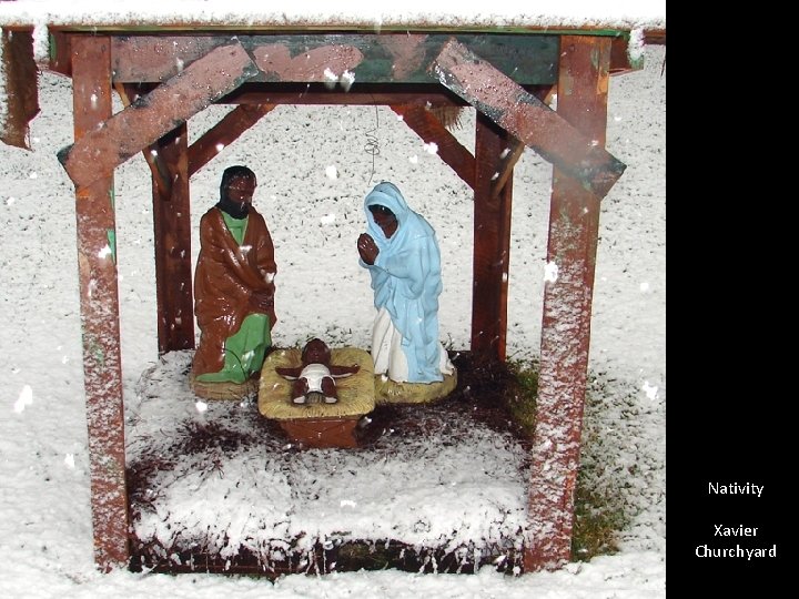 Nativity Xavier Churchyard 