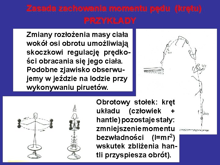 Zasada zachowania momentu pędu (krętu) PRZYKŁADY Zmiany rozłożenia masy ciała wokół osi obrotu umożliwiają