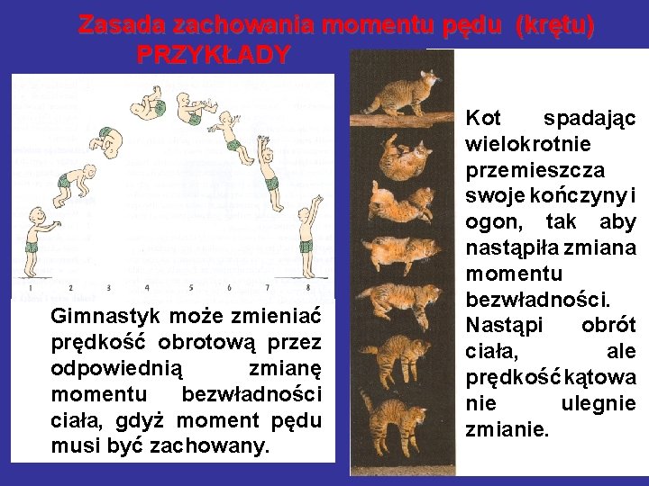 Zasada zachowania momentu pędu (krętu) PRZYKŁADY Gimnastyk może zmieniać prędkość obrotową przez odpowiednią zmianę