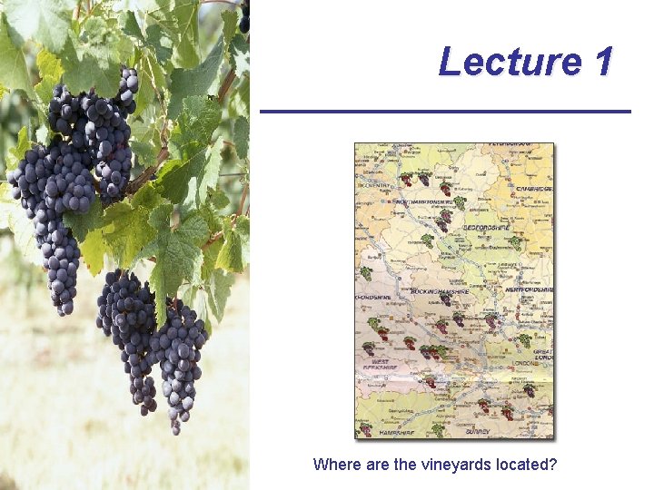 Lecture 1 Where are the vineyards located? 