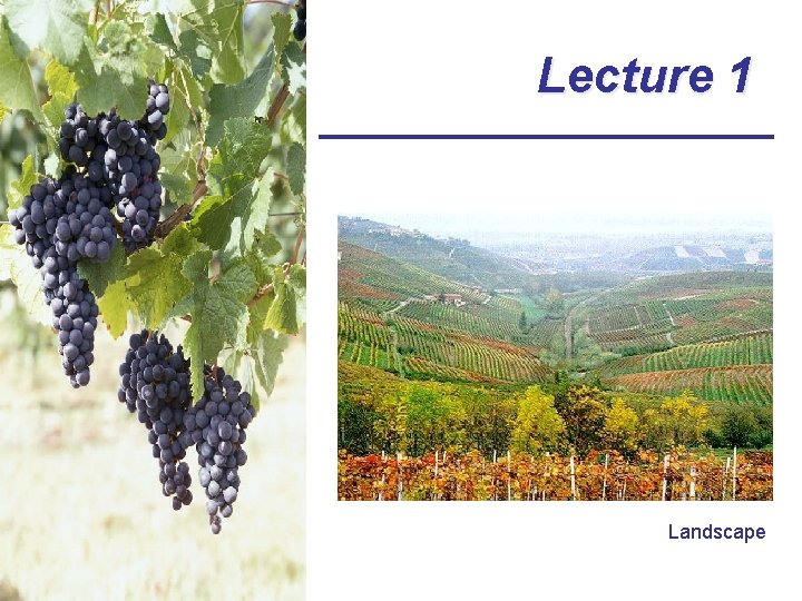 Lecture 1 Landscape 