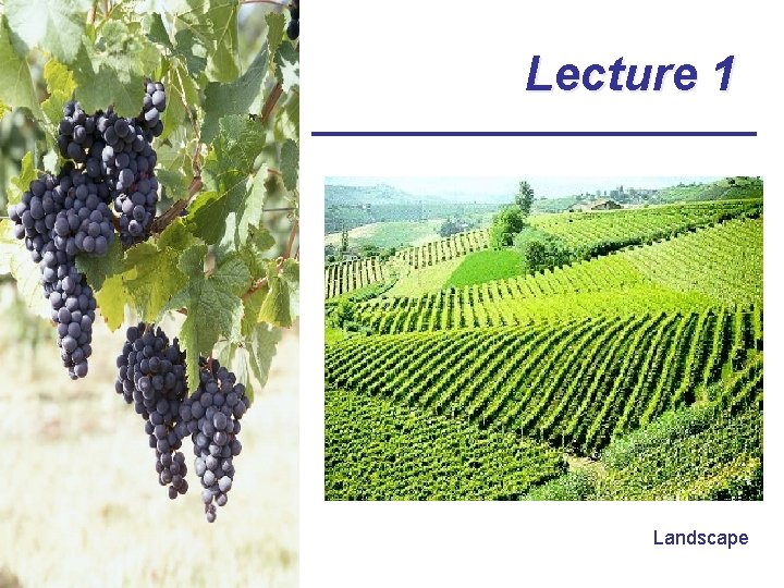 Lecture 1 Landscape 