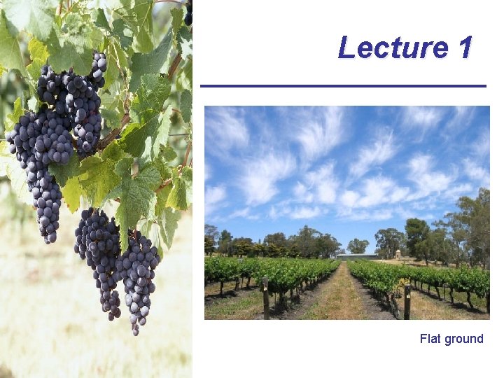 Lecture 1 Flat ground 