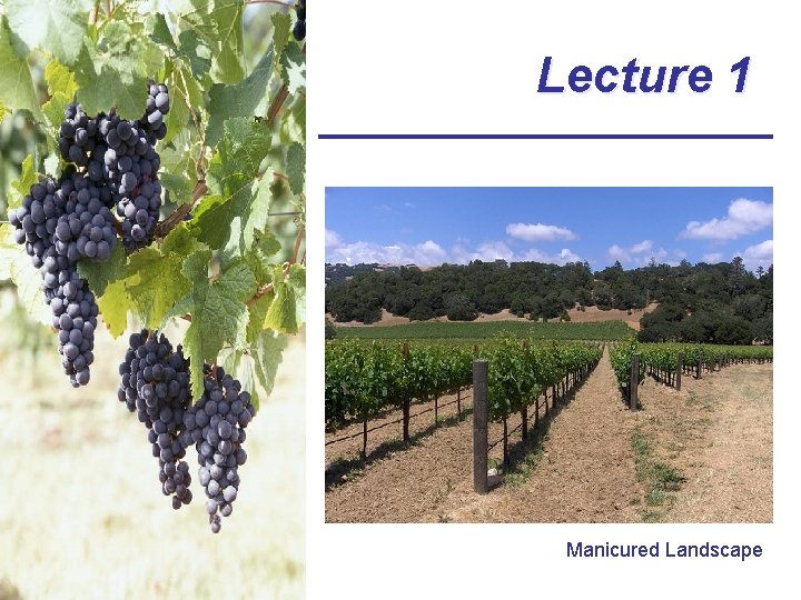Lecture 1 Manicured Landscape 