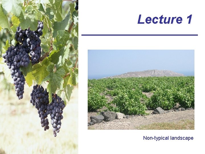 Lecture 1 Non-typical landscape 