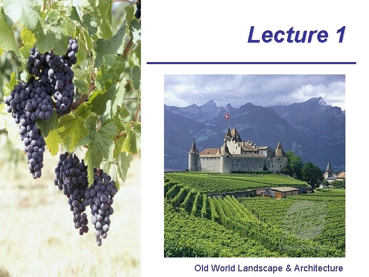 Lecture 1 Old World Landscape & Architecture 
