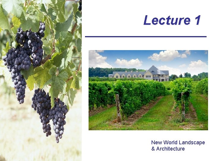 Lecture 1 New World Landscape & Architecture 