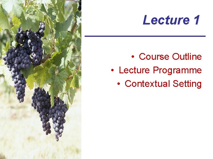 Lecture 1 • Course Outline • Lecture Programme • Contextual Setting 
