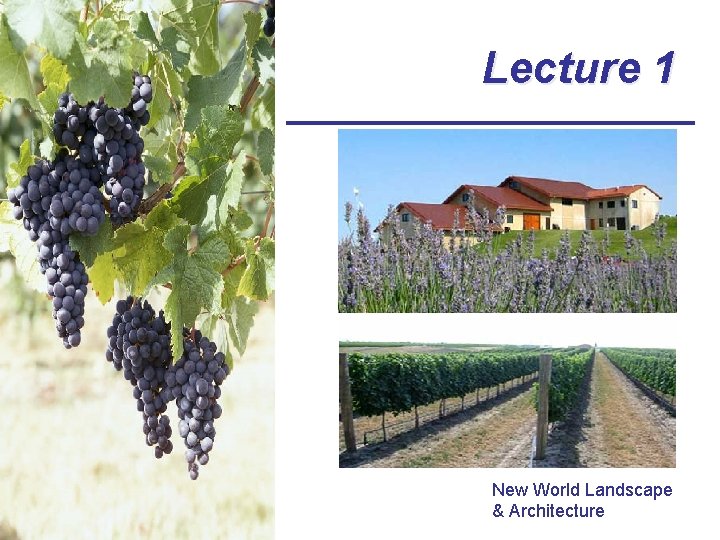 Lecture 1 New World Landscape & Architecture 
