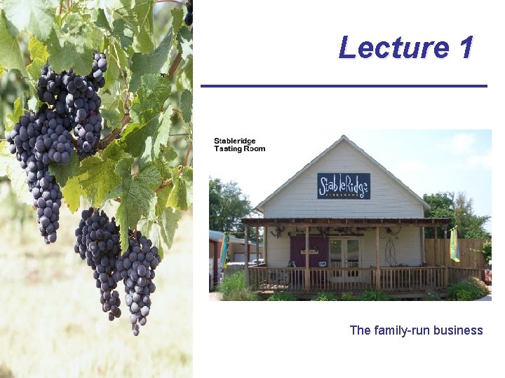 Lecture 1 The family-run business 