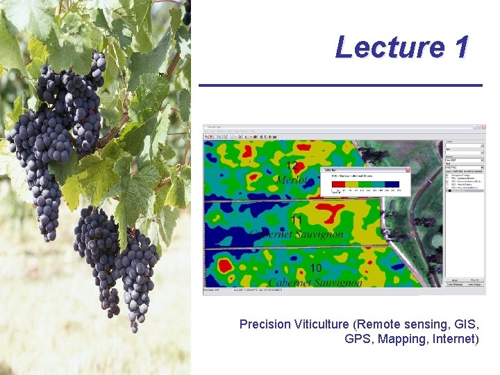 Lecture 1 Precision Viticulture (Remote sensing, GIS, GPS, Mapping, Internet) 