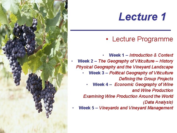 Lecture 1 • Lecture Programme • Week 1 – Introduction & Context • Week
