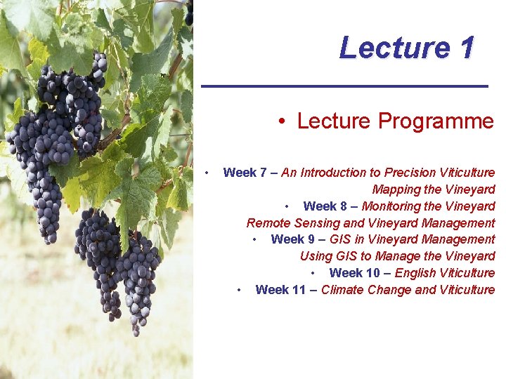 Lecture 1 • Lecture Programme • Week 7 – An Introduction to Precision Viticulture