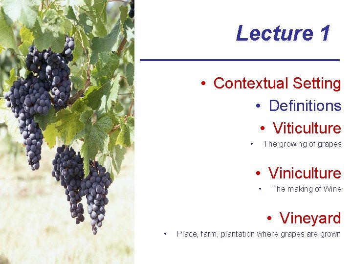 Lecture 1 • Contextual Setting • Definitions • Viticulture • The growing of grapes