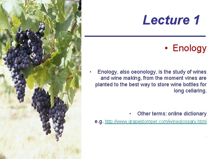 Lecture 1 • Enology • Enology, also oeonology, is the study of wines and