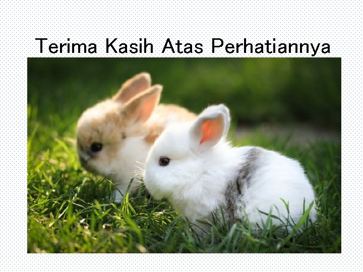 Terima Kasih Atas Perhatiannya 