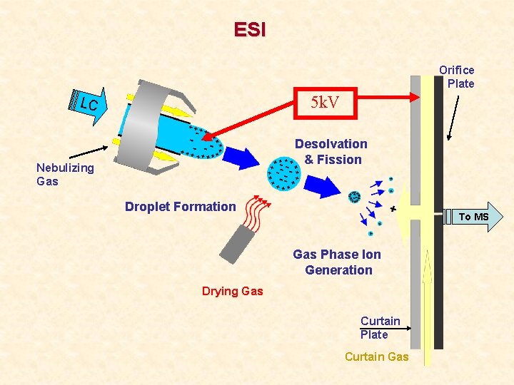 ESI Orifice Plate 5 k. V LC Desolvation & Fission Nebulizing Gas Droplet Formation