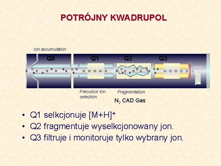 POTRÓJNY KWADRUPOL Ion accumulation Q 0 Q 1 Precursor ion selection Q 2 Q