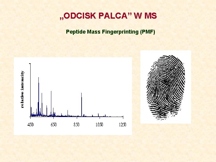 „ODCISK PALCA” W MS Peptide Mass Fingerprinting (PMF) 