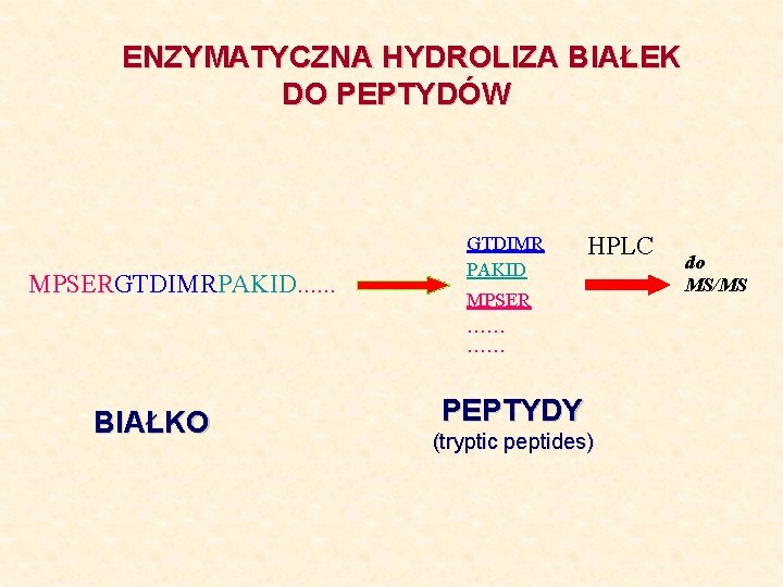 ENZYMATYCZNA HYDROLIZA BIAŁEK DO PEPTYDÓW MPSERGTDIMRPAKID. . . BIAŁKO GTDIMR PAKID HPLC MPSER ……