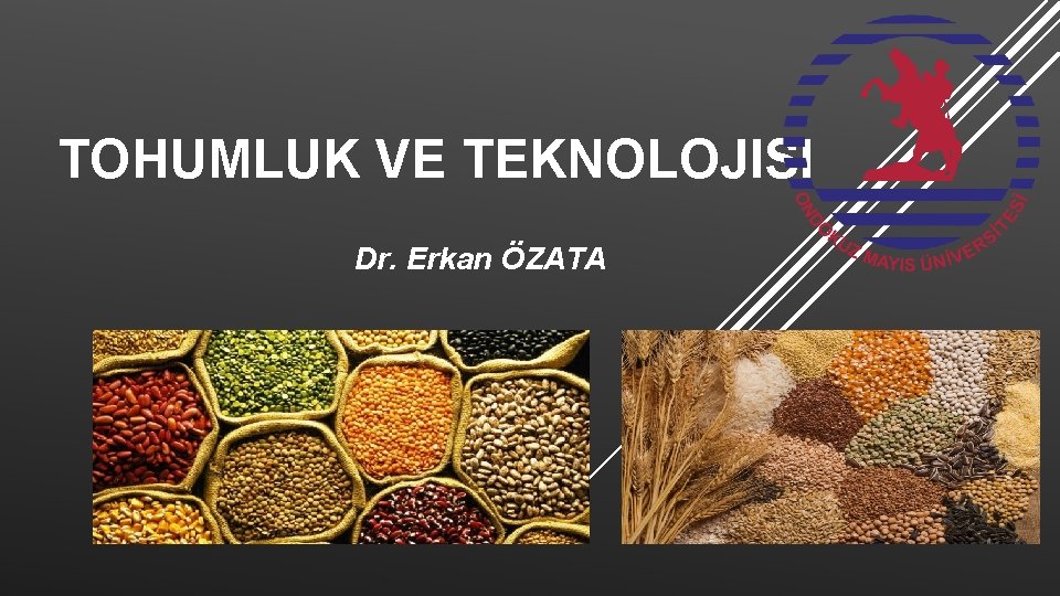 TOHUMLUK VE TEKNOLOJISI Dr. Erkan ÖZATA 