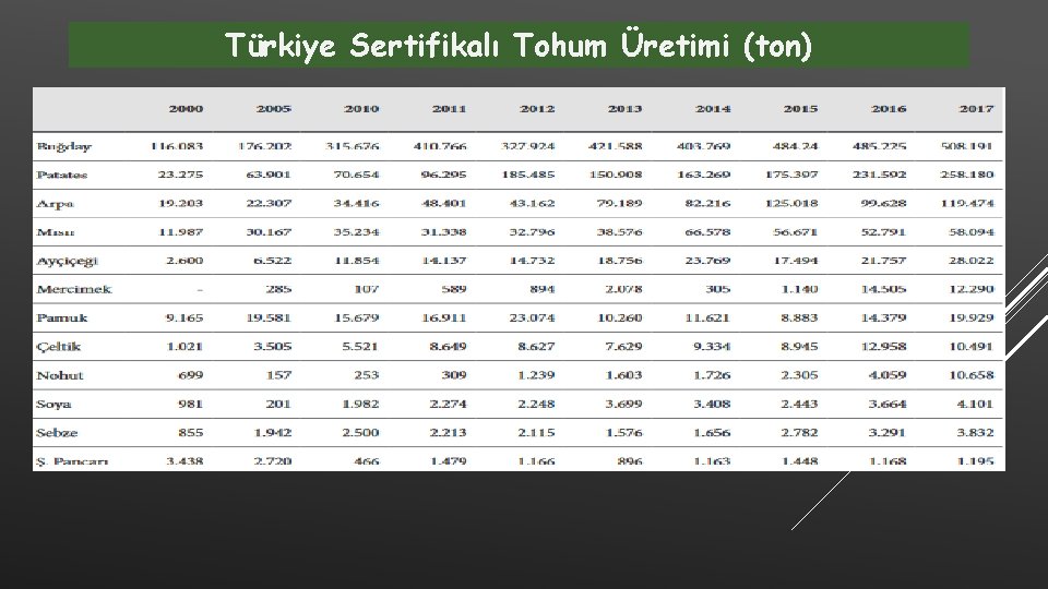 Türkiye Sertifikalı Tohum Üretimi (ton) 